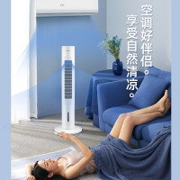 志高(CHIGO)1空调扇与格力(GREE)KS-06X71Dg空调扇深度对比评测 谁才是你的夏日性价比之王？